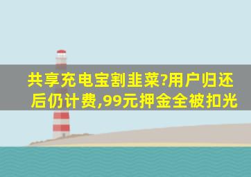 共享充电宝割韭菜?用户归还后仍计费,99元押金全被扣光