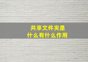 共享文件夹是什么有什么作用