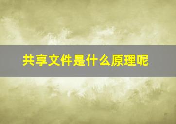 共享文件是什么原理呢