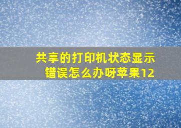 共享的打印机状态显示错误怎么办呀苹果12