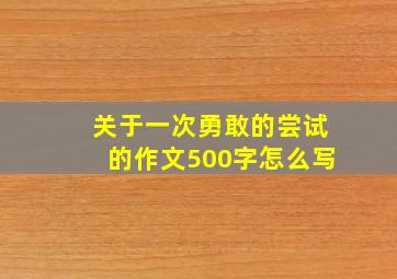 关于一次勇敢的尝试的作文500字怎么写