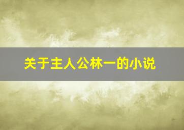 关于主人公林一的小说