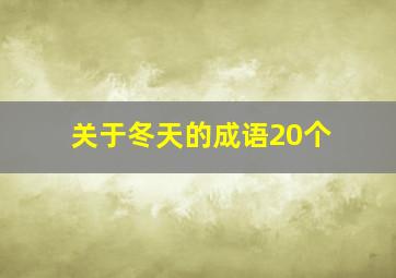 关于冬天的成语20个