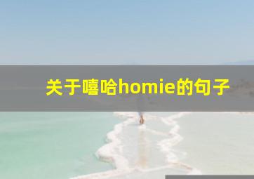 关于嘻哈homie的句子