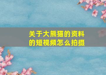 关于大熊猫的资料的短视频怎么拍摄