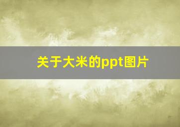 关于大米的ppt图片