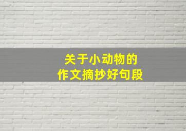 关于小动物的作文摘抄好句段