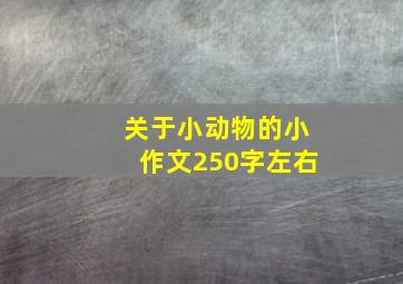 关于小动物的小作文250字左右