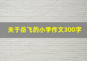 关于岳飞的小学作文300字