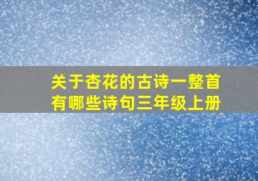 关于杏花的古诗一整首有哪些诗句三年级上册