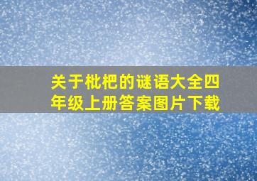 关于枇杷的谜语大全四年级上册答案图片下载