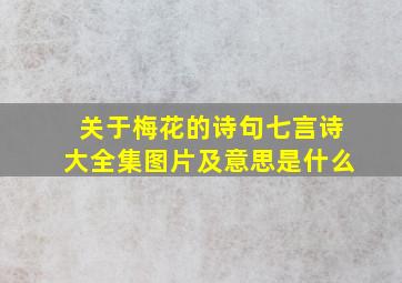 关于梅花的诗句七言诗大全集图片及意思是什么