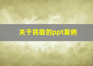 关于民宿的ppt案例