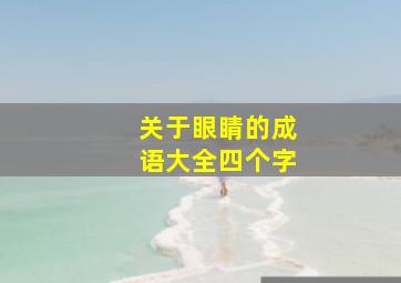 关于眼睛的成语大全四个字