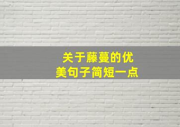 关于藤蔓的优美句子简短一点