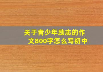 关于青少年励志的作文800字怎么写初中