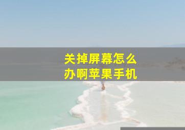 关掉屏幕怎么办啊苹果手机