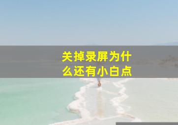 关掉录屏为什么还有小白点