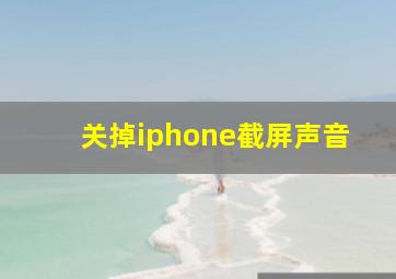 关掉iphone截屏声音