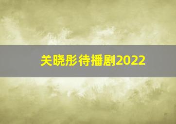 关晓彤待播剧2022