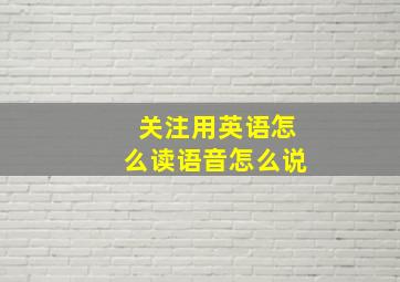 关注用英语怎么读语音怎么说