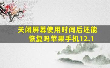 关闭屏幕使用时间后还能恢复吗苹果手机12.1