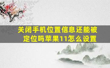 关闭手机位置信息还能被定位吗苹果11怎么设置