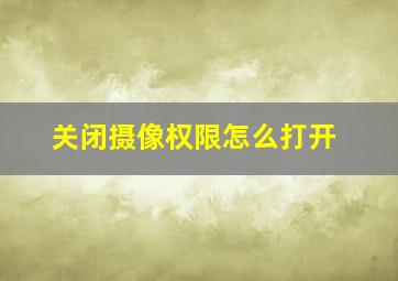 关闭摄像权限怎么打开