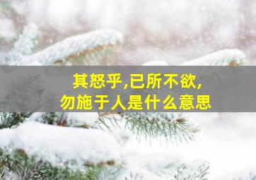 其怒乎,已所不欲,勿施于人是什么意思