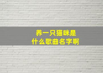 养一只猫咪是什么歌曲名字啊