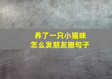 养了一只小猫咪怎么发朋友圈句子