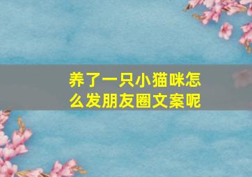 养了一只小猫咪怎么发朋友圈文案呢