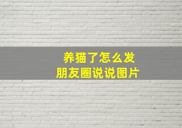 养猫了怎么发朋友圈说说图片