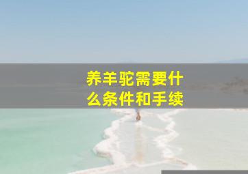 养羊驼需要什么条件和手续