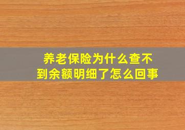 养老保险为什么查不到余额明细了怎么回事