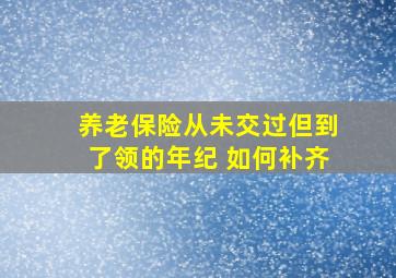 养老保险从未交过但到了领的年纪 如何补齐