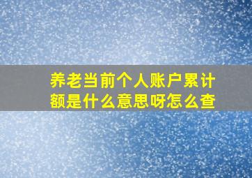 养老当前个人账户累计额是什么意思呀怎么查