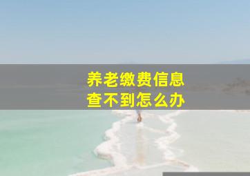 养老缴费信息查不到怎么办