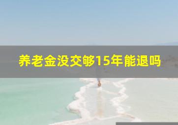 养老金没交够15年能退吗