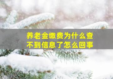 养老金缴费为什么查不到信息了怎么回事