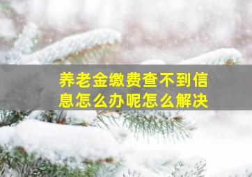 养老金缴费查不到信息怎么办呢怎么解决