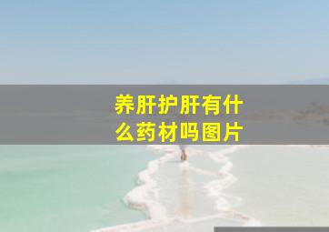 养肝护肝有什么药材吗图片