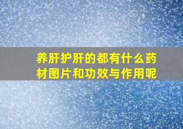 养肝护肝的都有什么药材图片和功效与作用呢