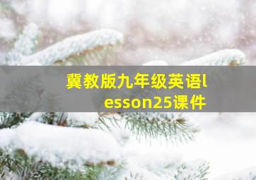 冀教版九年级英语lesson25课件