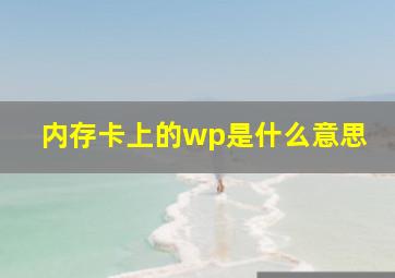 内存卡上的wp是什么意思