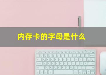 内存卡的字母是什么