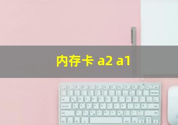 内存卡 a2 a1