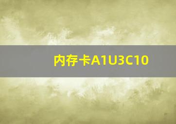 内存卡A1U3C10