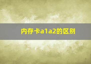 内存卡a1a2的区别