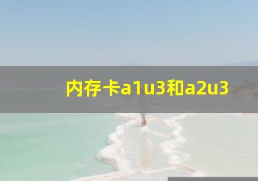 内存卡a1u3和a2u3